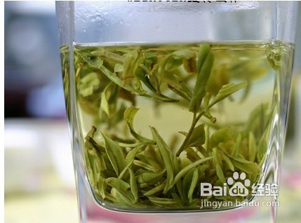 庐山云雾茶冲泡方法
