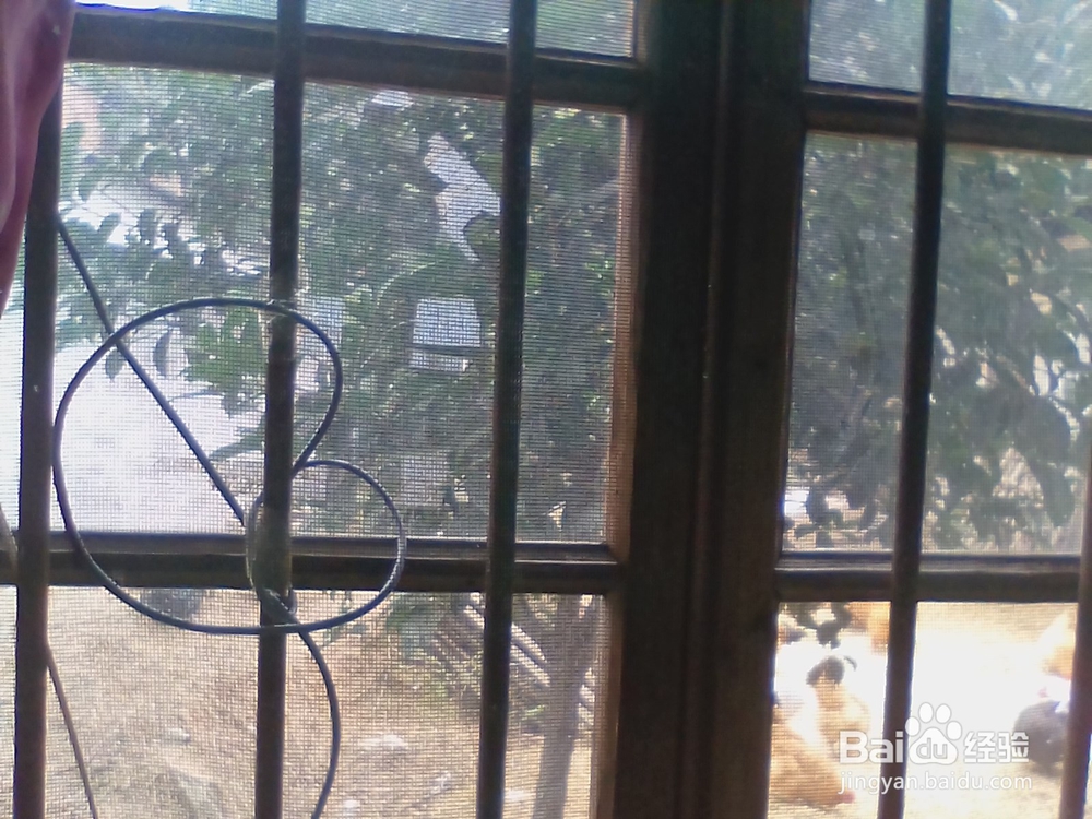 夏天防蚊之生活小妙招有哪些