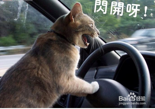 出行晕车怎么办如何缓解晕车症状