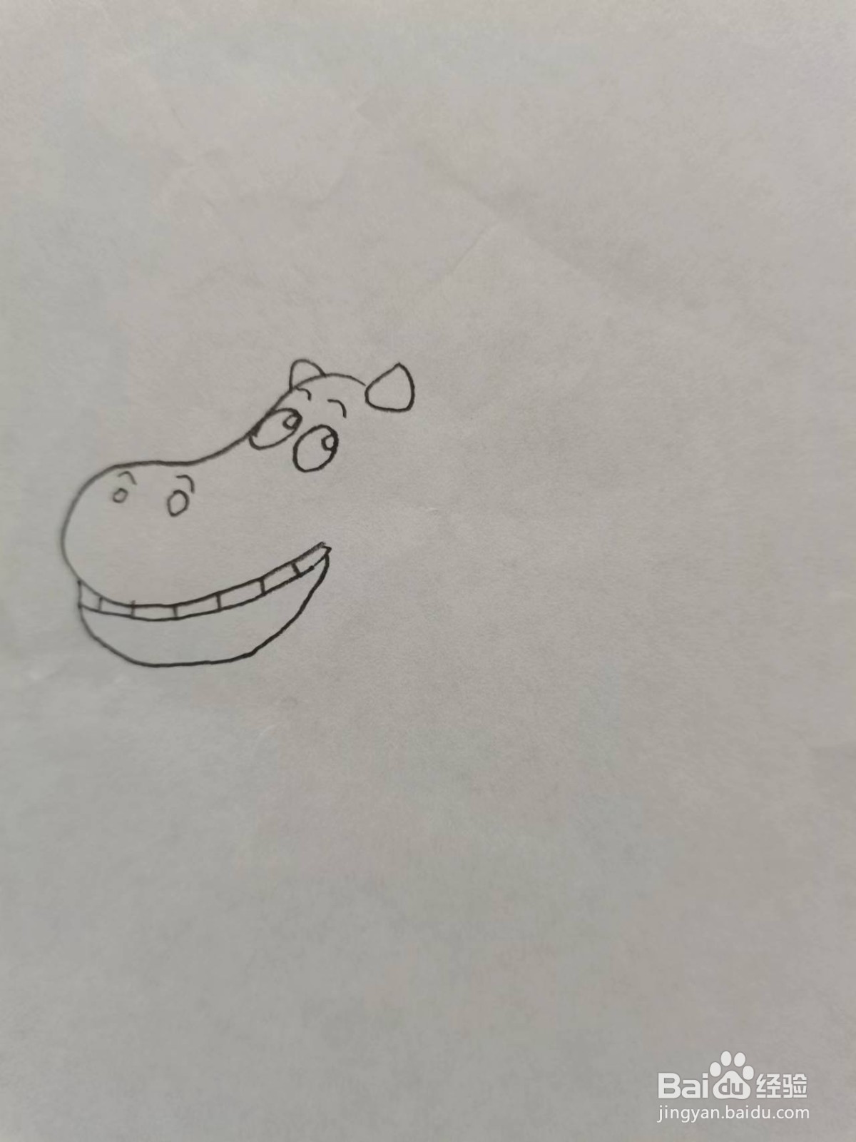 铅笔画卡通河马