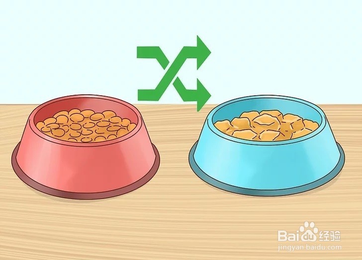 怎样才能增加狗狗的食欲?