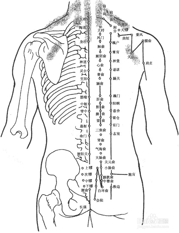 刮痧有什么好处?哪些人不适合刮痧?