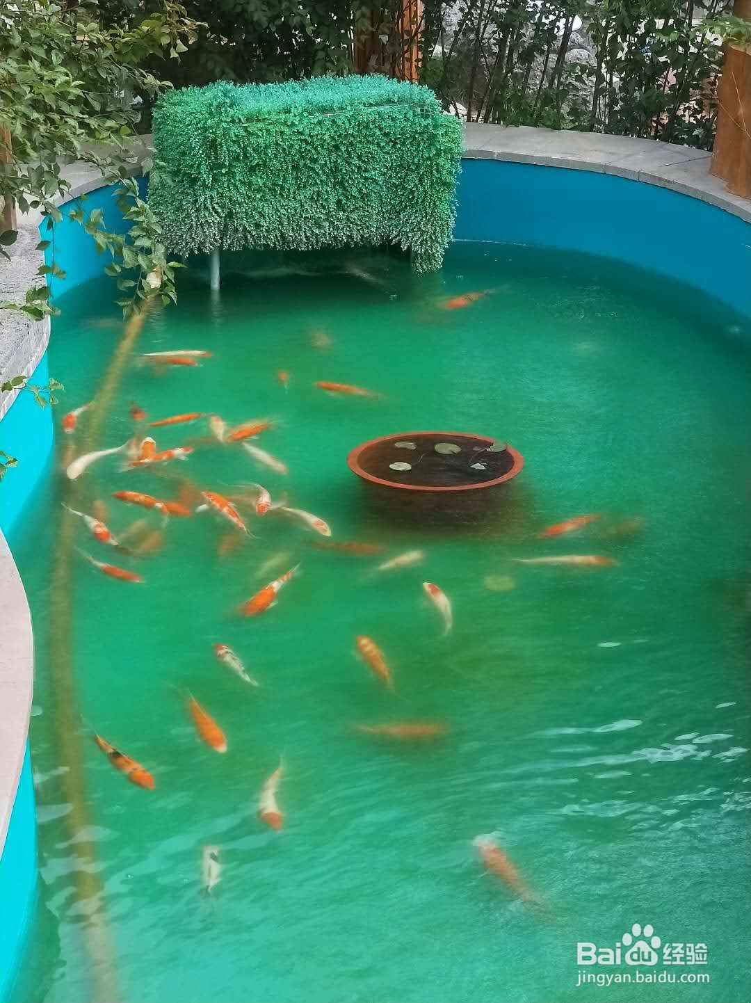 国内住酒店的一些小提示