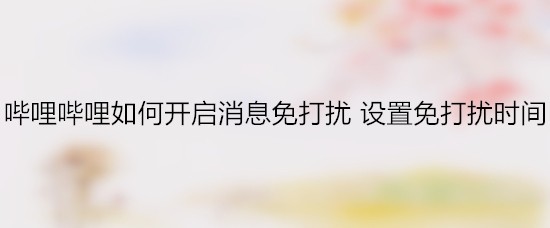 哔哩哔哩如何开启消息免打扰 设置免打扰时间