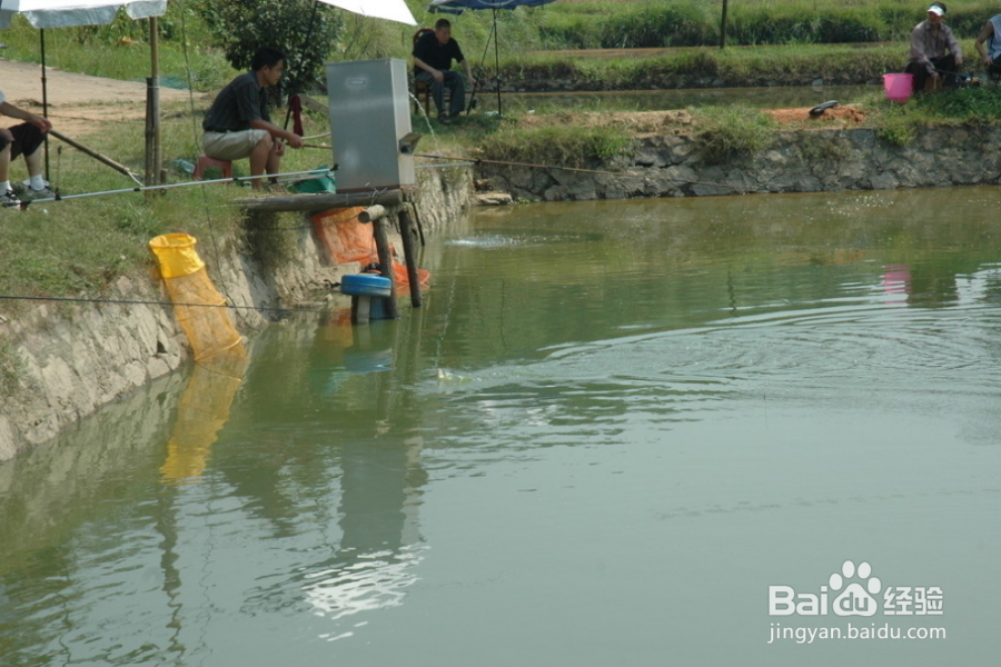 钓鱼需要注意什么
