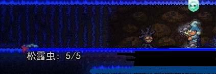 《泰拉瑞亚》怎样抓取松露虫