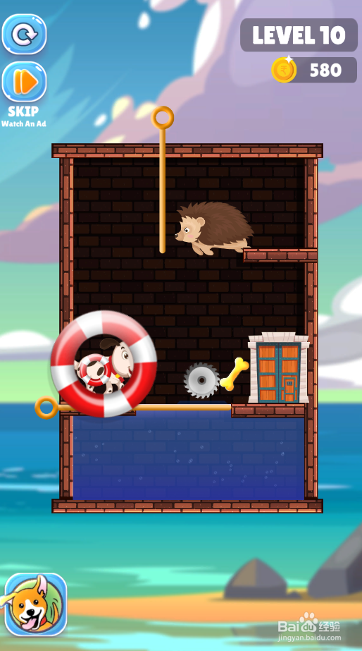 Save The Puppy的LEVEL 10怎样过关