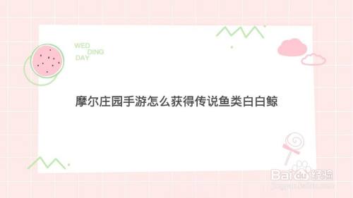 摩尔庄园手游怎么获得传说鱼类白白鲸