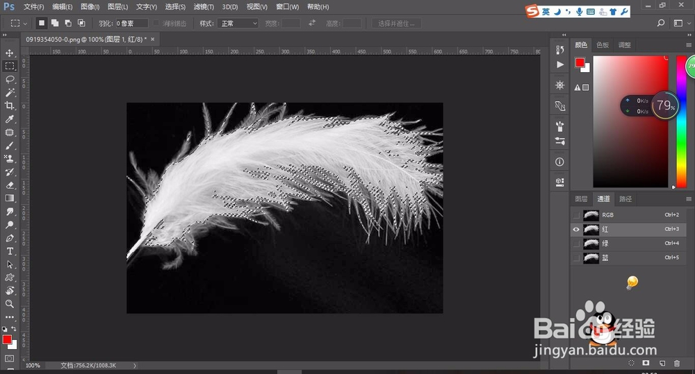 轻松学PS用通道工具简单快速抠出羽毛