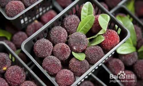 吞了杨梅核怎么办