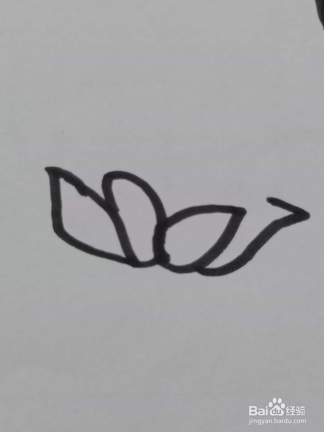 怎样画荷花