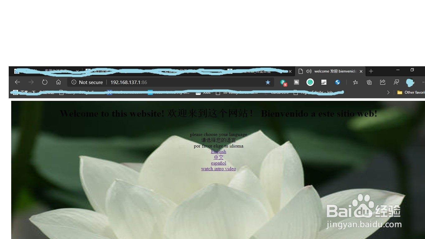 如何利用Windows自带的服务器建立自己的网站