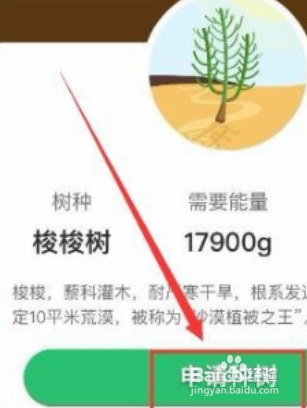 支付宝怎么获得环保证书