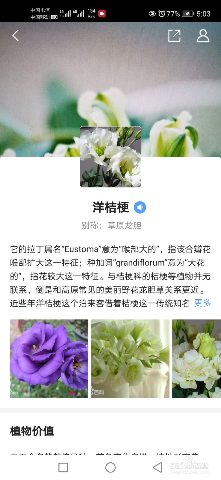 如何用QQ浏览器进行植物识别