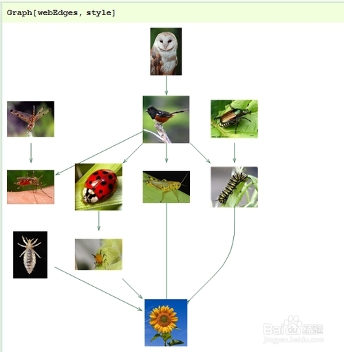 Mathematica数据可视化：[35]网络图