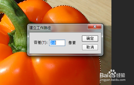Photoshop如何将选区转换为路径