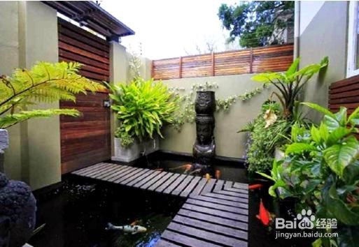 私家庭院如何防治蚊虫