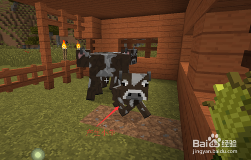 Minecraft我的世界牛怎么驯服牛怎么繁殖和挤奶 百度经验