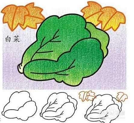 千载难逢的少儿智力开发简笔画教程