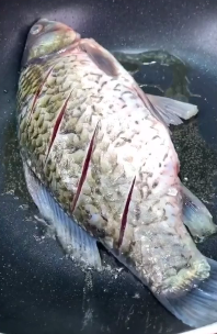 教你怎么做出汤汁浓白的鲫鱼汤