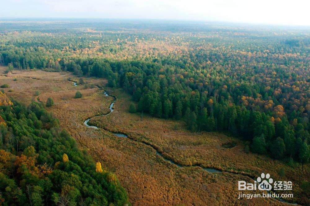 去波兰旅游有哪些景点？