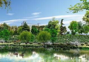 买房、看房、选房注意事项