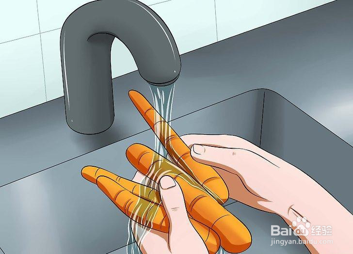 如何喂养宠物鼠