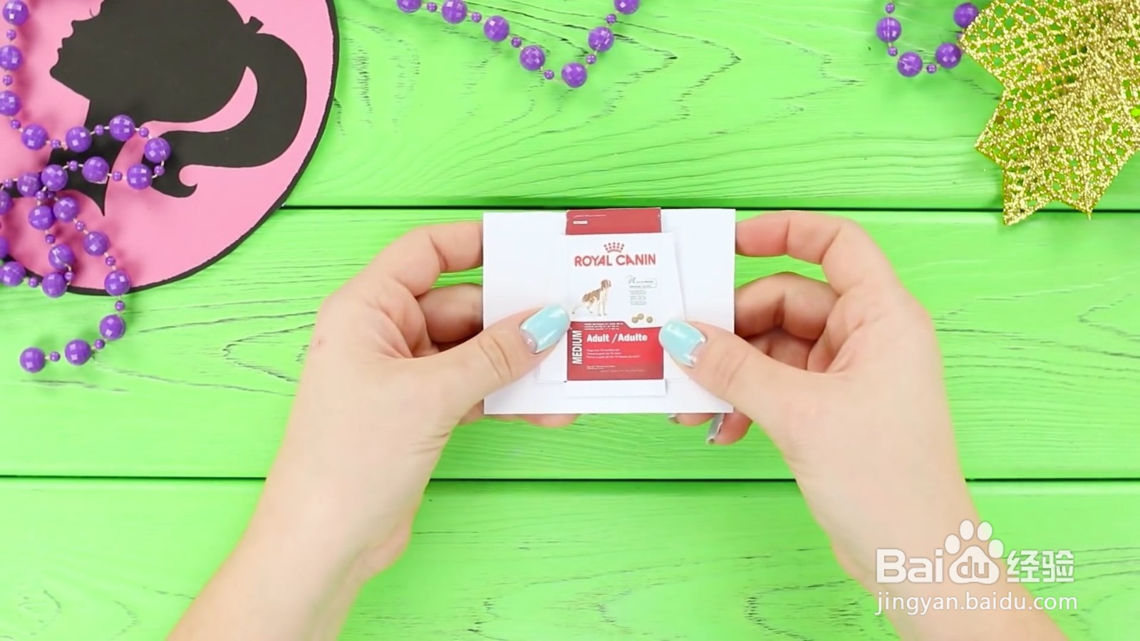 如何给宠物狗狗diy美味的食物？