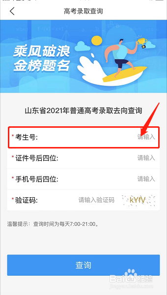 山东投档状态如何查询