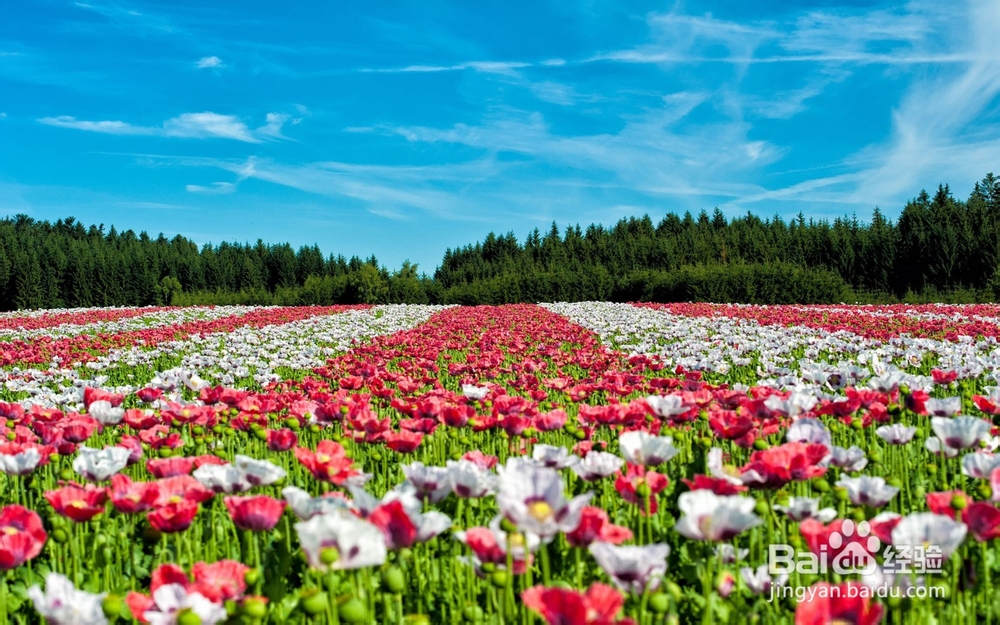 毒品离我们并不远，教你如何识别身边潜在风险