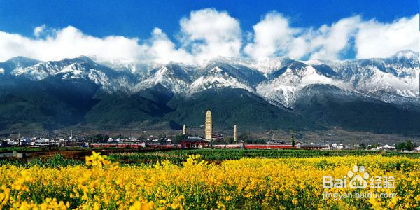 大理住一个月怎么租房