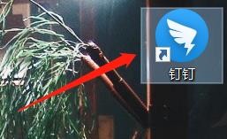 钉钉如何打开消息提示音