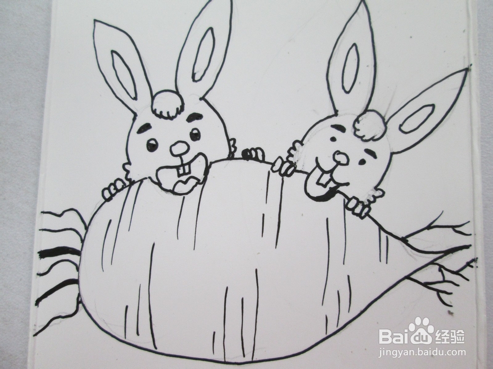 幼儿水彩笔画《兔子兄弟的萝卜》的作画步骤