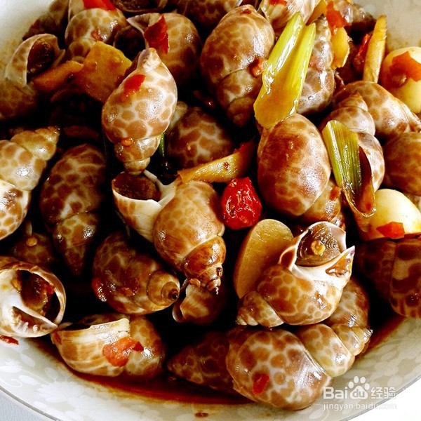 赶海可以抓到什么呢