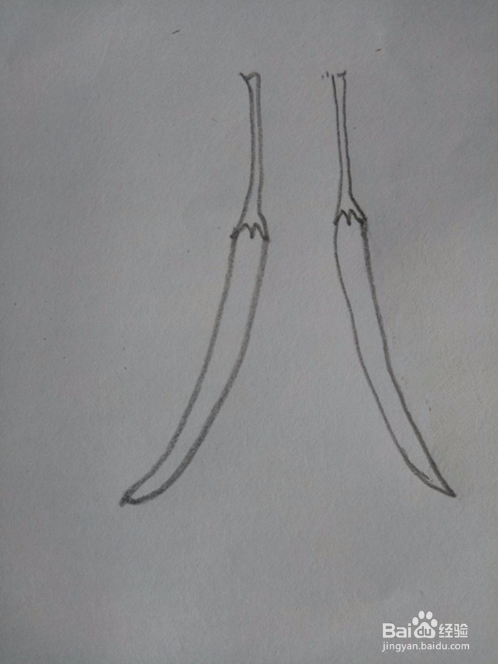 红辣椒的简笔画