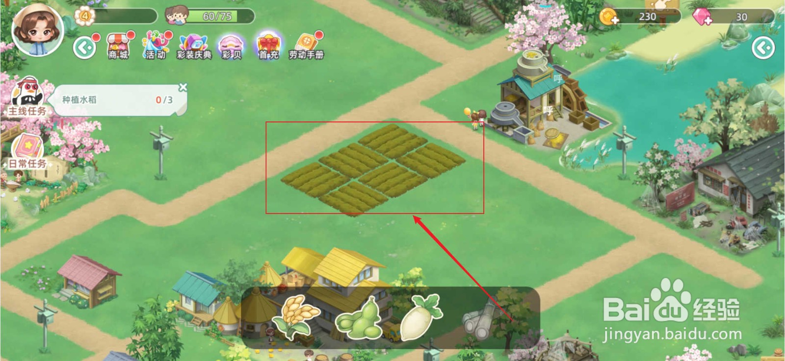 向往的生活怎么种植水稻