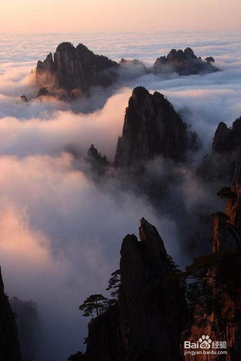 黄山云海怎么介绍