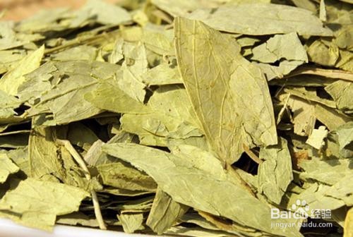 番泻叶的作用与副作用