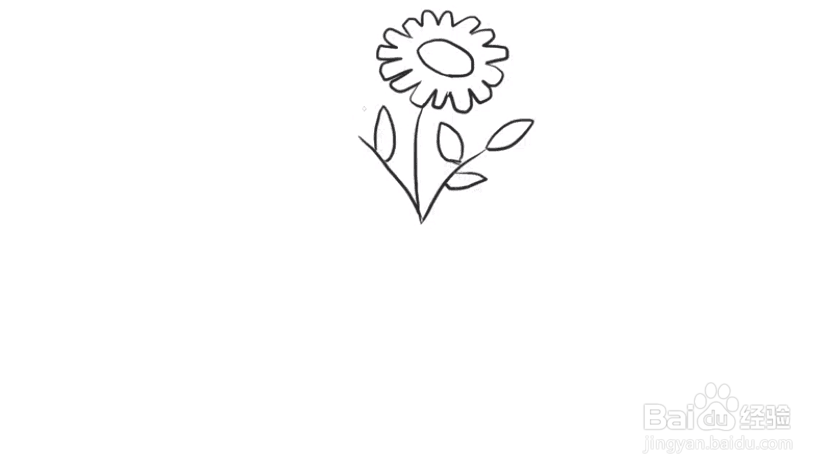 花瓶与花的简单画法