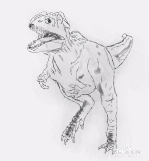 第七步:最后在南方巨兽龙的身体上画出皮肤的纹理,然后在打上底色