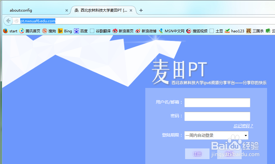 火狐无法打开ipv6网站