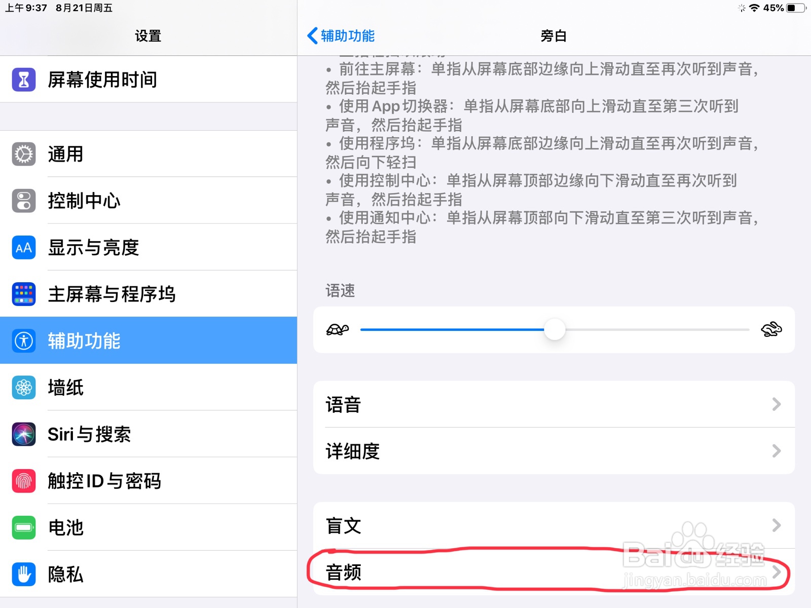 iPad怎么在旁白设置已选择自动填充建议的预览