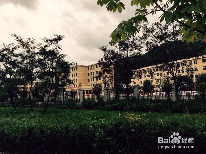 好诗歌的写法