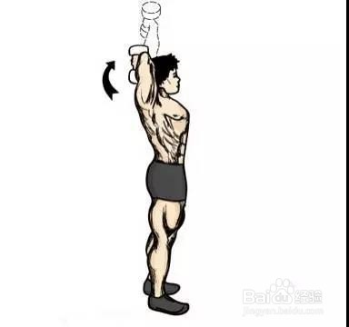 只需一对哑铃,在家锻炼全身肌肉!