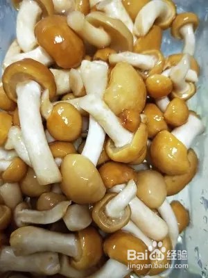 小白菜炒滑子菇