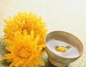 优质的菊花茶