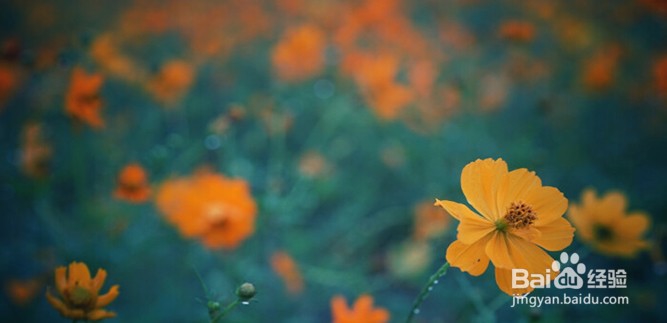 适合下雨天听的歌曲有哪些