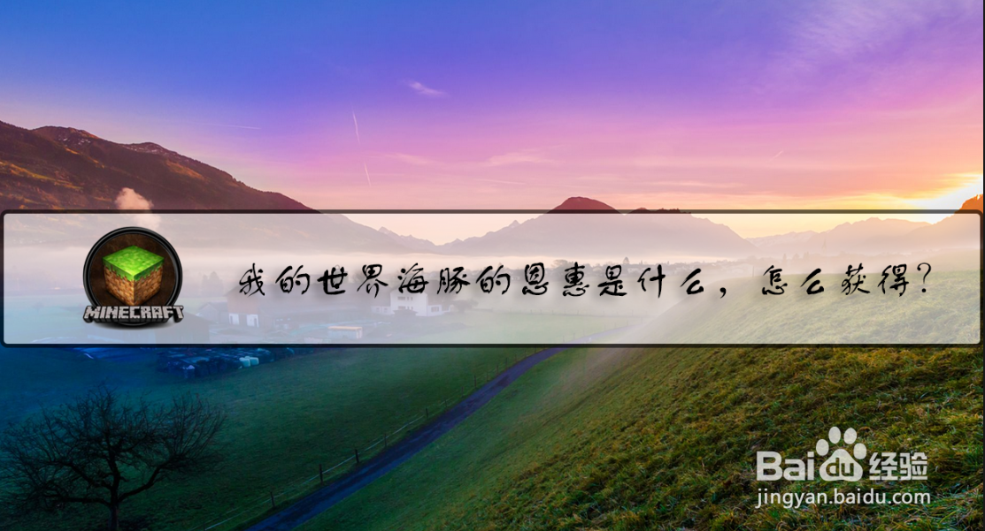 我的世界海豚的恩惠是什么，怎么获得