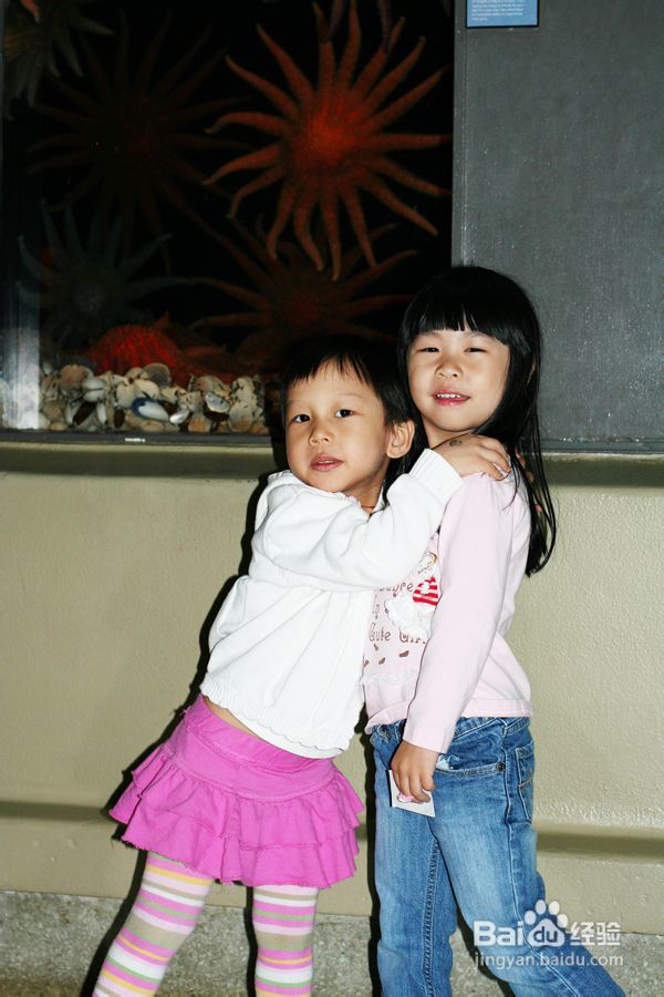 温哥华水族馆:水中舞动的精灵们