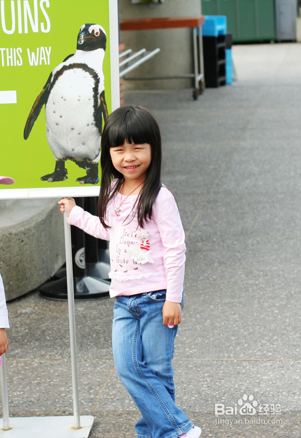 温哥华水族馆:水中舞动的精灵们